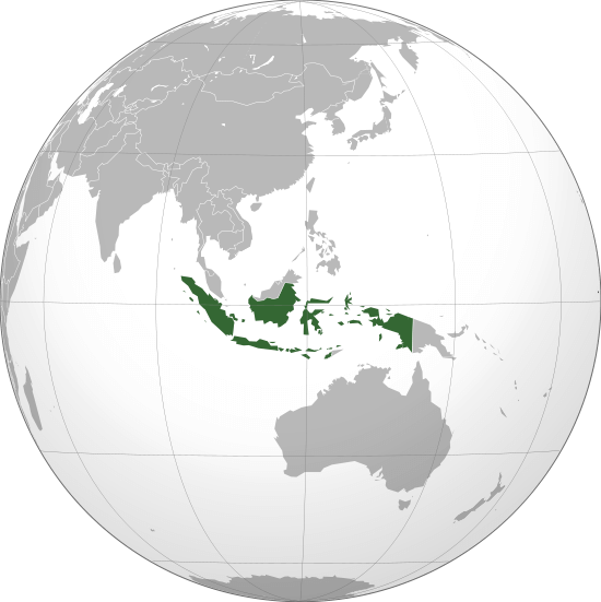 Raysoft.id